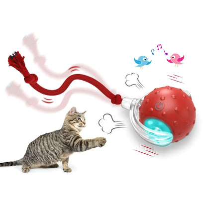 Pounce Ball II